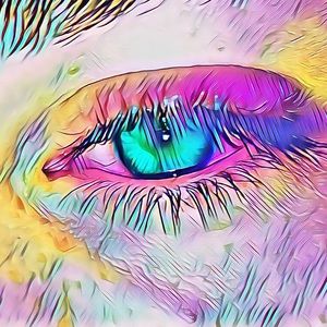 Meet your Posher, Joey